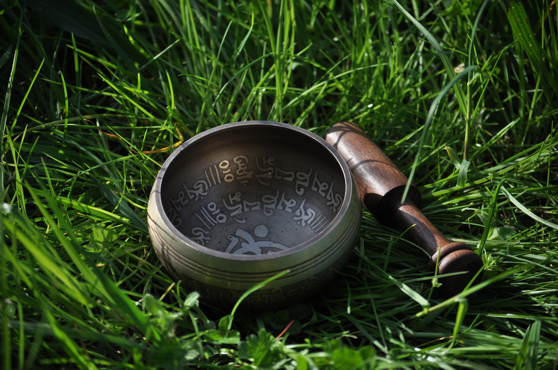 placeholder image-wide